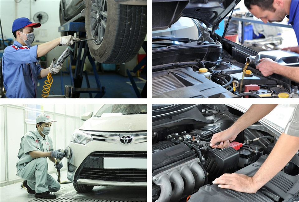 quy tr&igrave;nh dịch vụ