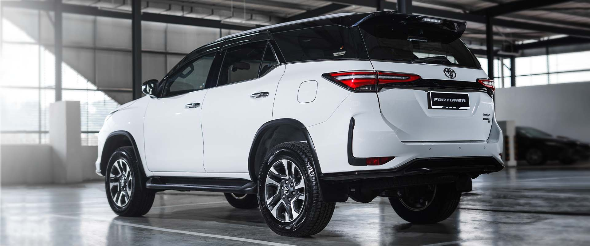 Tổng thể mặt h&ocirc;ng v&agrave; phần đu&ocirc;i